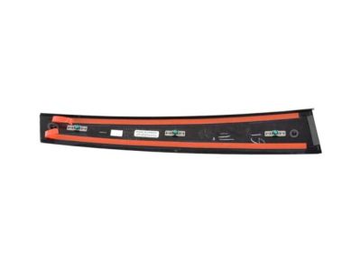 Mopar 68187812AE Applique, Front Passenger Side