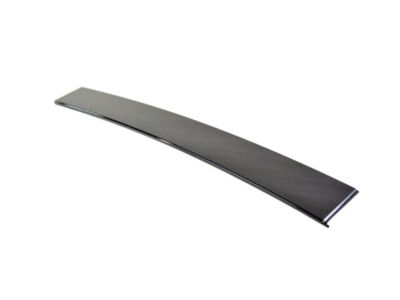 2020 Chrysler Voyager Door Moldings - 68187812AE