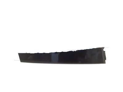 Chrysler 5288837AF APPLIQUE B Pillar Front Door