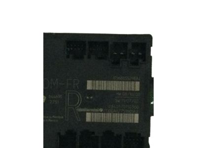 Ram 68055298AJ MODULE Door