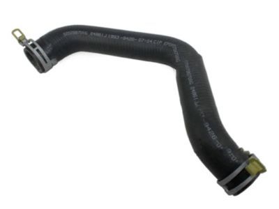Dodge Radiator Hose - 52028870AE
