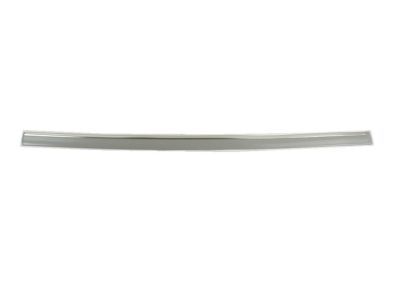 Dodge 5JN55CDMAD MOLDING Front Door