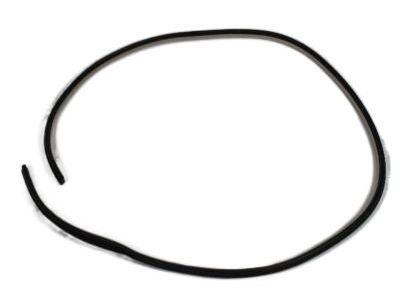 Dodge UQ20BD1AB WEATHERSTRIP Front Door Opening