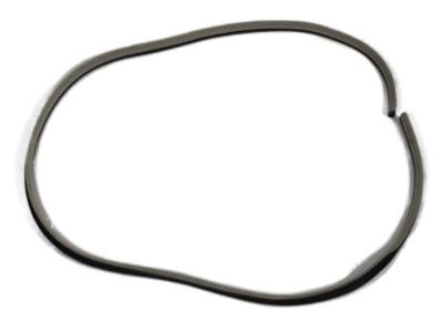 Dodge Magnum Weather Strip - UQ20BD1AB