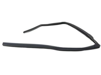 Dodge 55399171AJ Glass Run