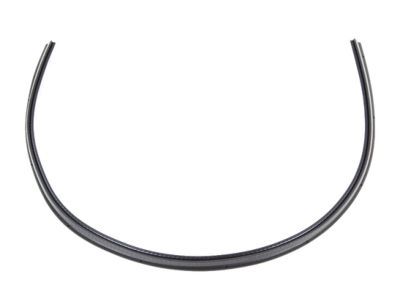Dodge 68141384AC WEATHERSTRIP Wheelhouse Front