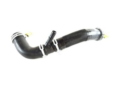 Ram 68275448AB HOSE Radiator Outlet