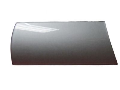 Dodge ZL50XZAAA COVER Switch Opening