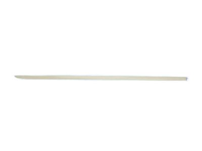 Dodge 1DH29ZR3AB MOLDING Front Door
