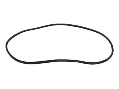 Jeep 55399255AE Body Weatherstrip