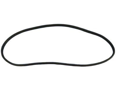 Jeep Grand Cherokee Weather Strip - 55399255AE