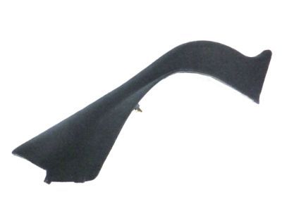 Dodge 1WS16DX9AD CARPET Insert B-Pillar