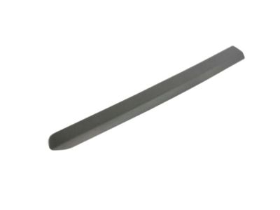 Ram 5YF68JXWAA MOLDING Body Side Front Door