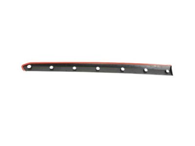 Ram 5YF68JXWAA MOLDING Body Side Front Door
