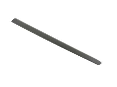Ram 5YF68JXWAA MOLDING Body Side Front Door