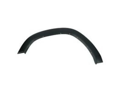 Ram 6NB07TZZAD Lower Trim
