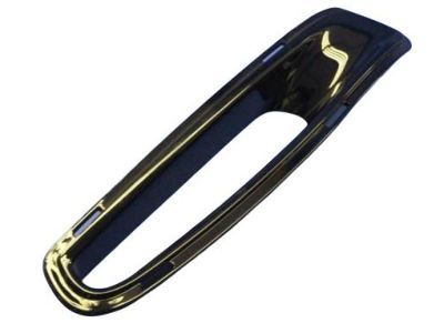 Dodge 1WC62DX8AA BEZEL Air Inlet