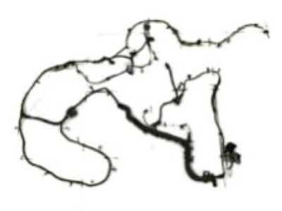Dodge 68142708AE Wiring - Chassis