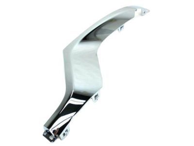 Mopar 68170062AB Applique, Front Passenger Side