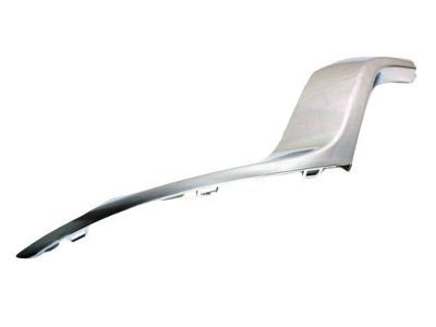 Mopar 68170062AB Applique, Front Passenger Side