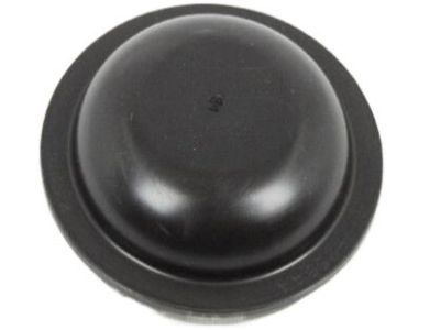 Dodge 4779253AA CAP Wheel Center