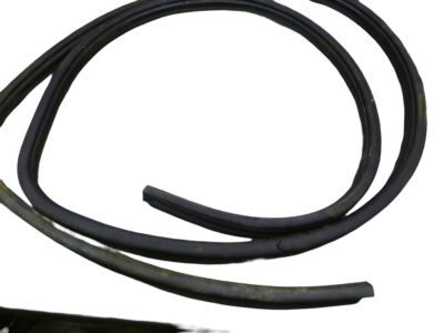 Dodge 55359201AA WEATHERSTRIP Cargo Door