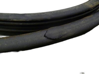 Dodge 55359201AA WEATHERSTRIP Cargo Door