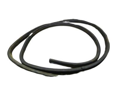 Dodge Ram Wagon Door Seal - 55359201AA