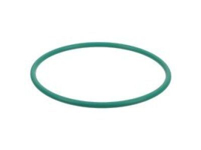 Dodge 5103614AA O RING Fuel Pump