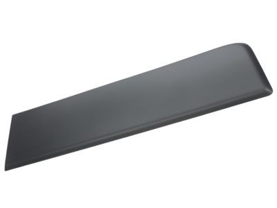Ram 1ZT29LAHAA MOLDING Door Outside