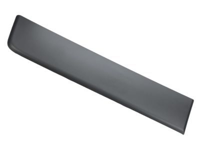 2017 Ram ProMaster 3500 Door Moldings - 1ZT29LAHAA