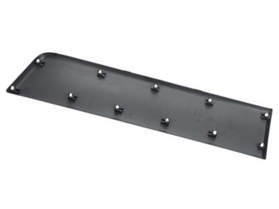 Ram 1ZT29LAHAA MOLDING Door Outside