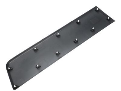 Ram 1ZT29LAHAA MOLDING Door Outside