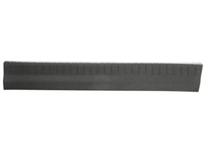 Dodge 1BE45XDVAC PLATE Scuff Front