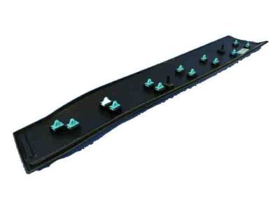 Mopar 6VX67RXFAB Molding Front Door