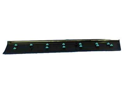 Mopar 6VX67RXFAB Molding Front Door