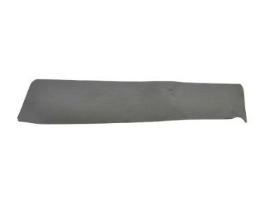 Jeep 5116389AA TAPE Front Door