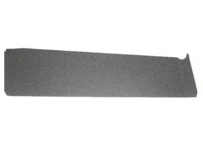 Jeep 5116389AA TAPE Front Door