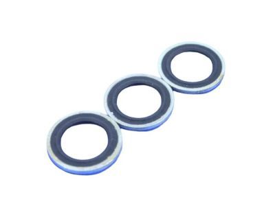 Ram 68002992AA WASHER Fuel Line Banjo