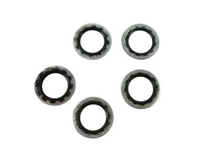 Ram 68002992AA WASHER Fuel Line Banjo