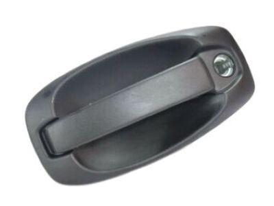 Ram 5XP42JXWAA HANDLE Exterior Door