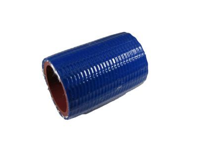 Dodge 3820667 CAP Vapor Canister