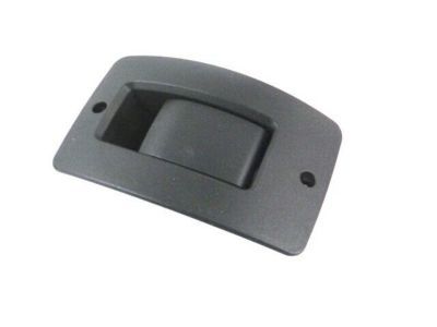 Ram 1ZP86JXWAB HANDLE Inside Remote Control