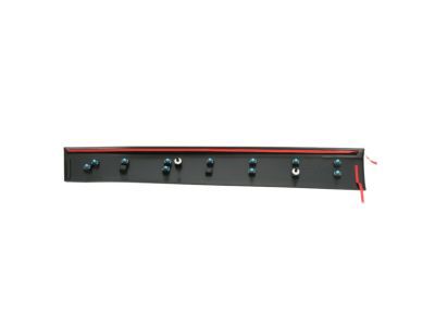 Mopar 6VX66RXFAB Molding Front Door