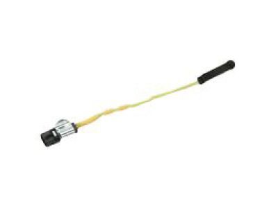 Ram 68325550AA LAMP Door Handle LED