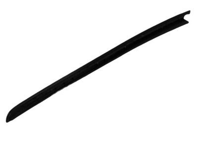 Chrysler 5303674AD Side Molding