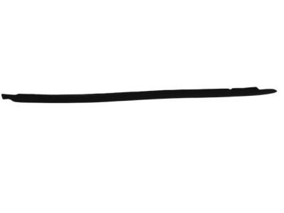 Chrysler 5303674AD Side Molding