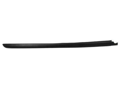 Chrysler 5303674AD Side Molding