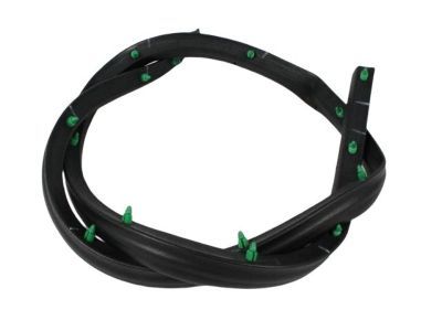 Mopar 55394043AE Lower Weatherstrip, Front Outer Driver Side
