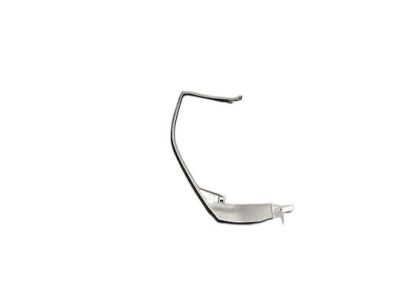Mopar 55315140AD Frame Trim, Front